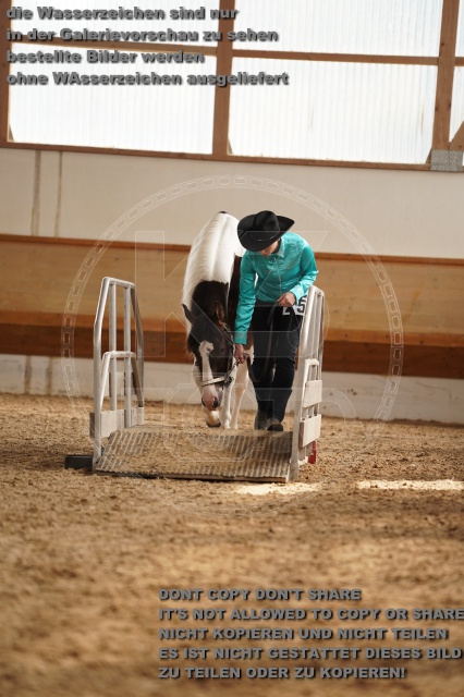 s_A_901370.JPG